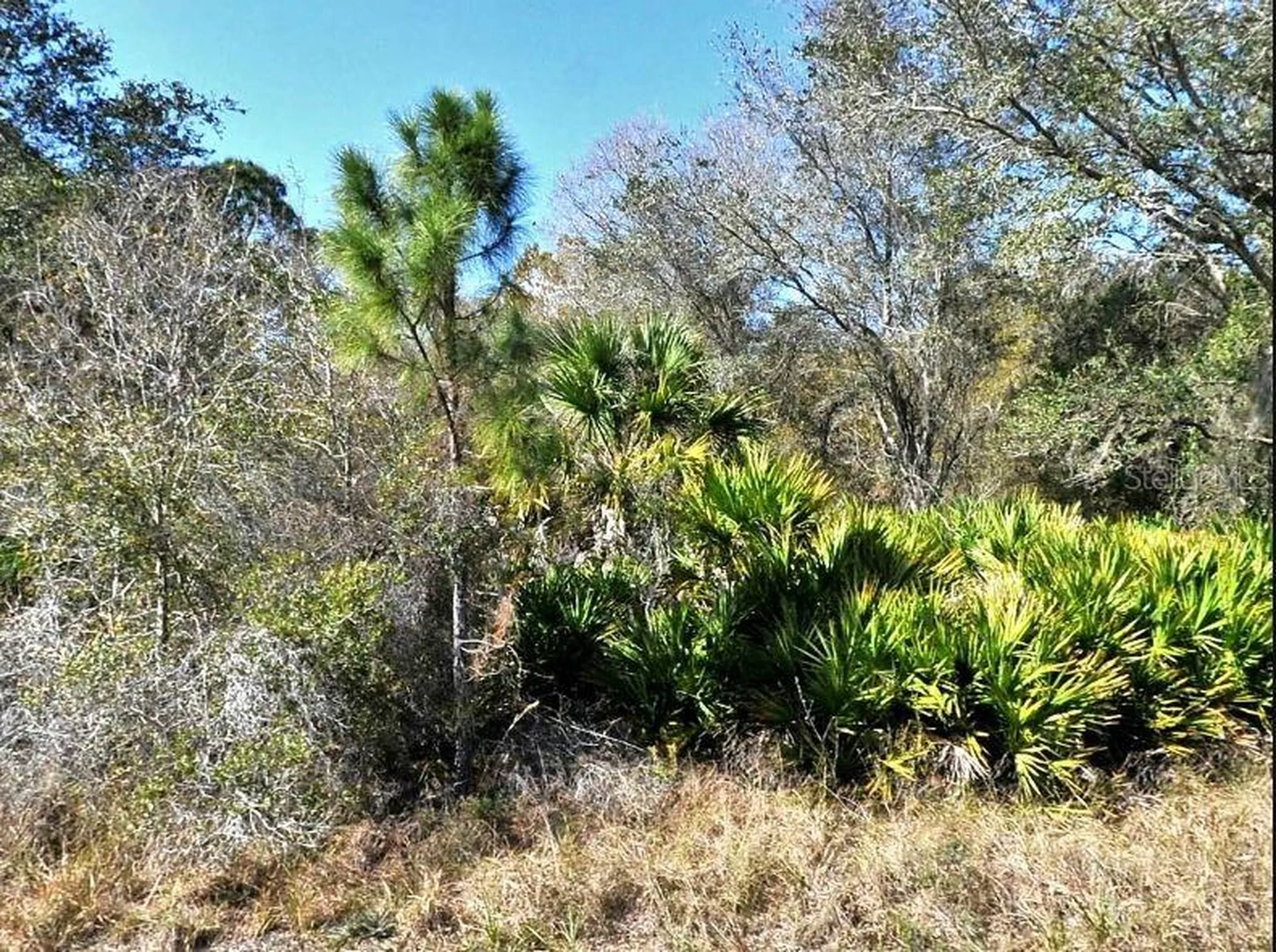Norton Drive North Port FL 34288