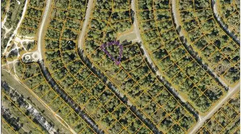 Brolly Street North Port FL 34288