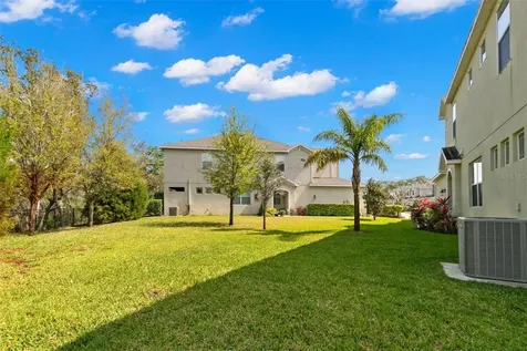 499 Harbor Springs Drive Palm Harbor FL 34683