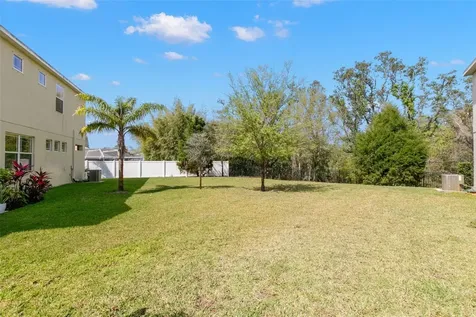 499 Harbor Springs Drive Palm Harbor FL 34683