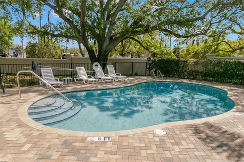 499 Harbor Springs Drive Palm Harbor FL 34683