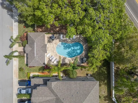 499 Harbor Springs Drive Palm Harbor FL 34683