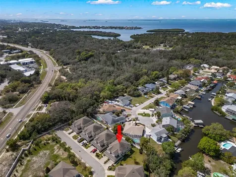 499 Harbor Springs Drive Palm Harbor FL 34683