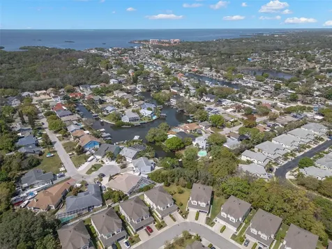 499 Harbor Springs Drive Palm Harbor FL 34683