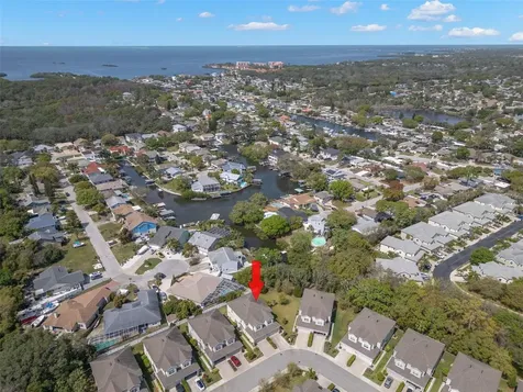 499 Harbor Springs Drive Palm Harbor FL 34683