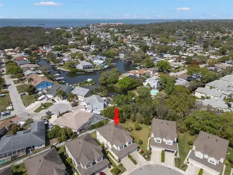 499 Harbor Springs Drive Palm Harbor FL 34683