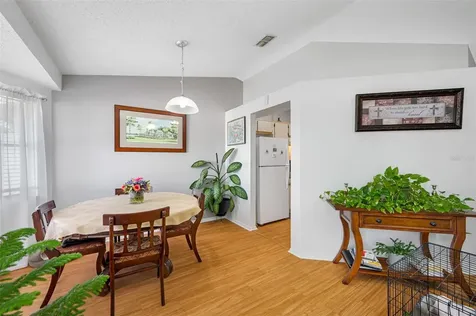 219 Belfort Place Valrico FL 33594