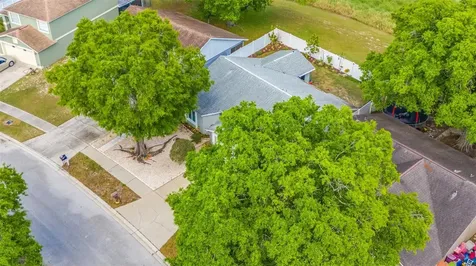 219 Belfort Place Valrico FL 33594