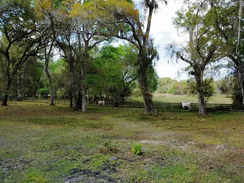 10820 SW 31st Way Webster FL 33597