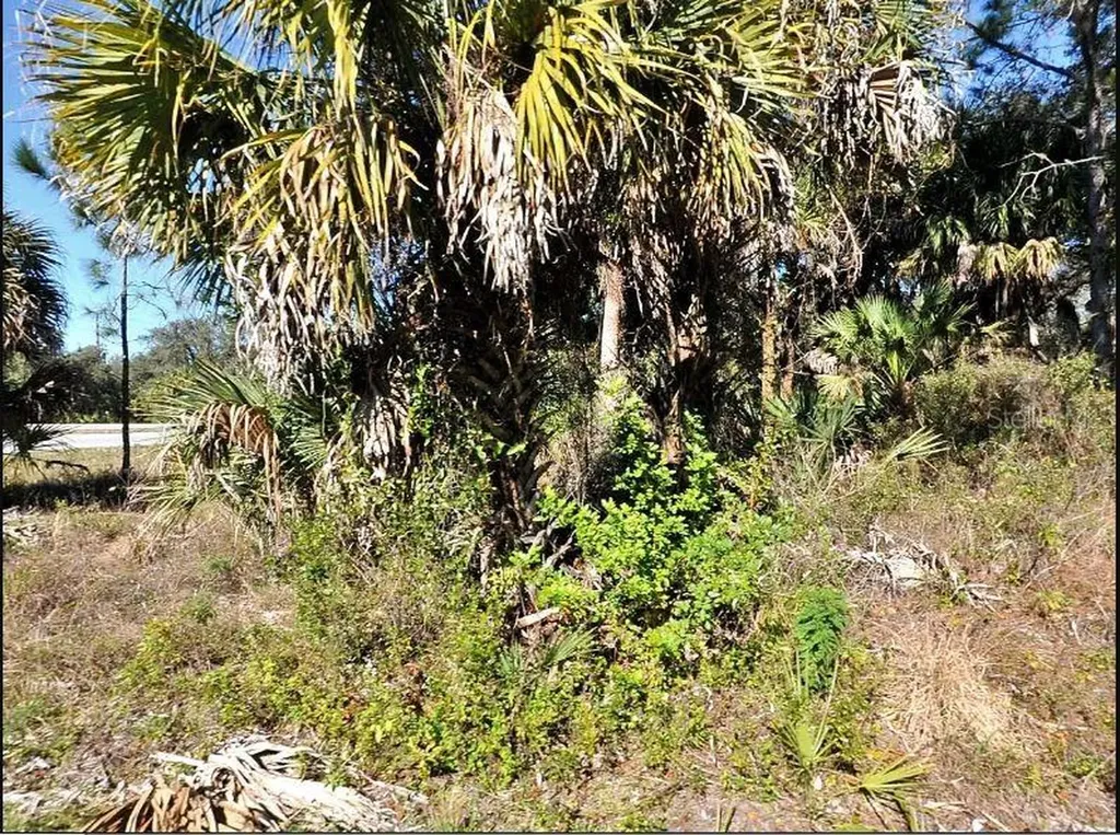 Kalish Avenue North Port FL 34286