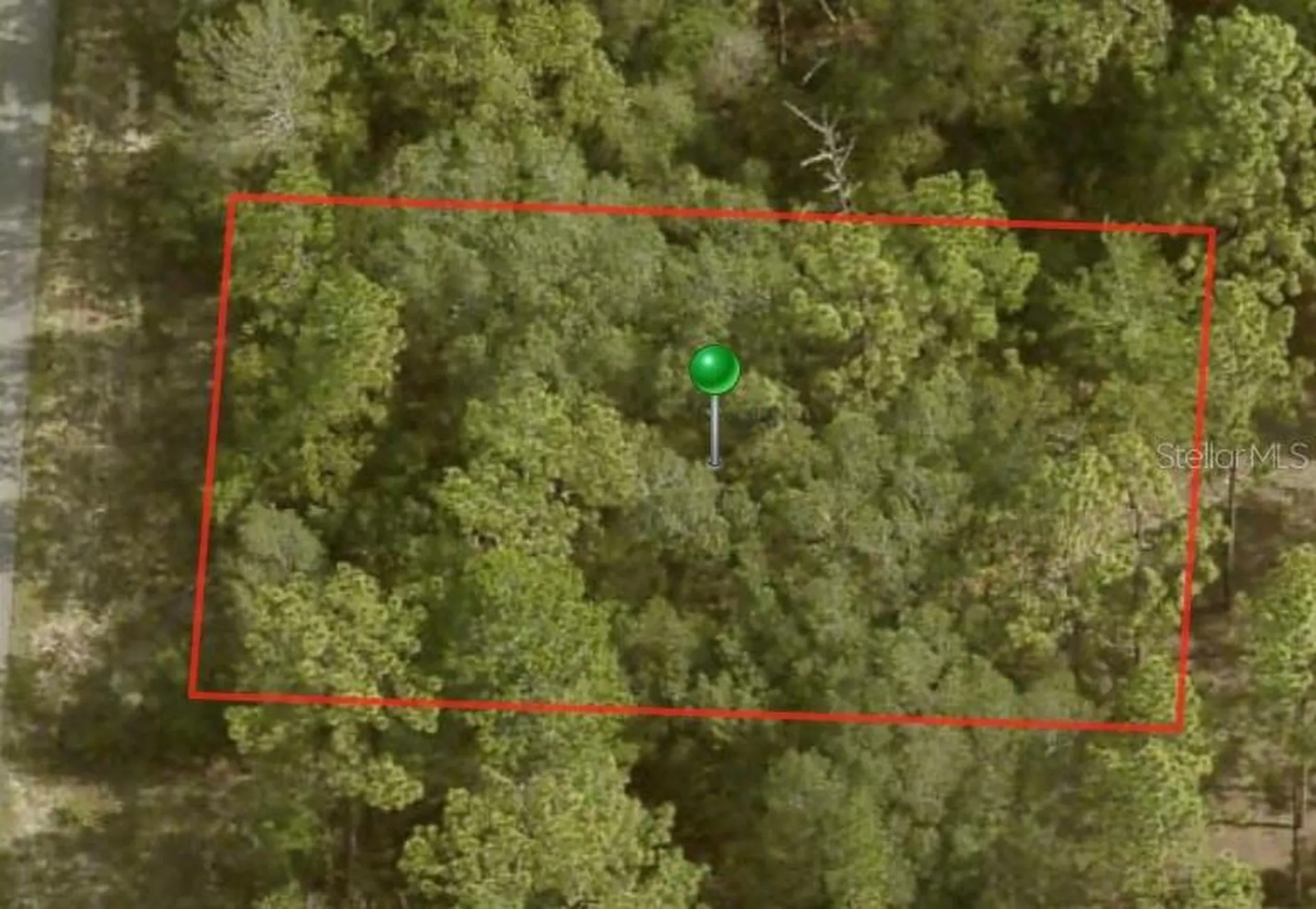 3656 W Parkview Drive Citrus Springs FL 34433