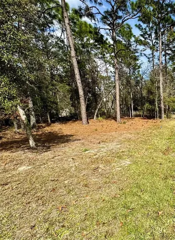 5544 N Mallows Circle Beverly Hills FL 34465