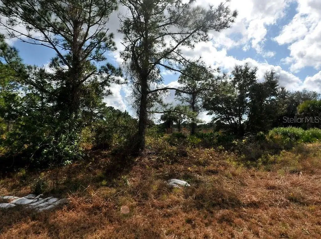 Winterville Circle North Port FL 34288