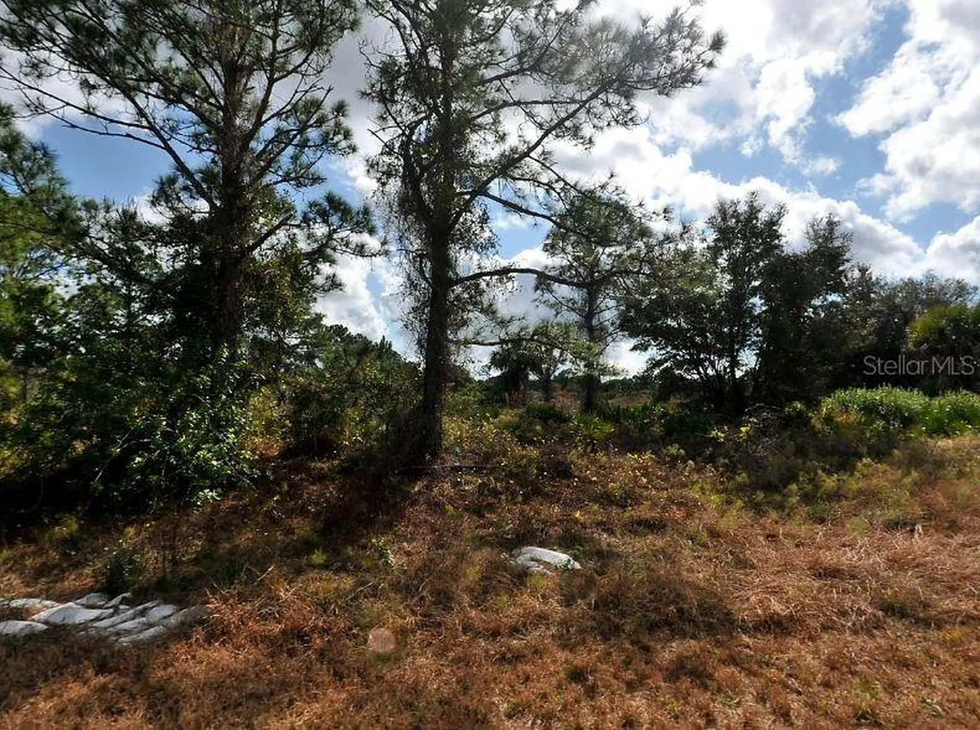 Winterville Circle North Port FL 34288