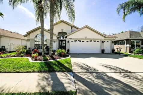 20800 Nectarine Place Land O Lakes FL 34637