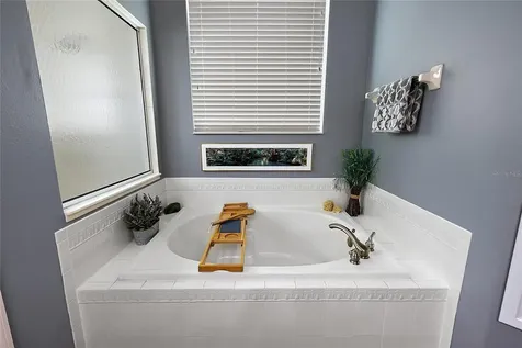8047 Waterbury Way Mount Dora FL 32757