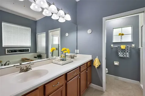 8047 Waterbury Way Mount Dora FL 32757