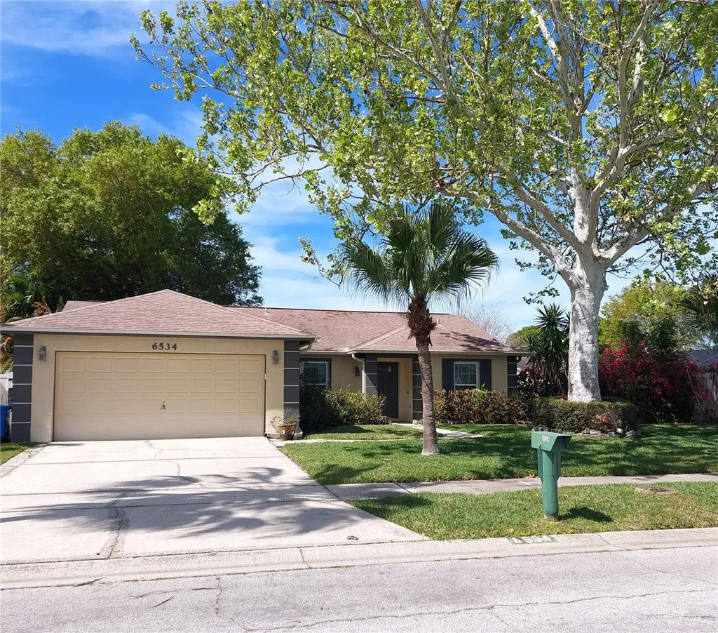 6534 Seafairer Drive Tampa FL 33615