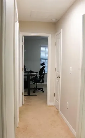 14212 Covert Green Place Riverview FL 33579