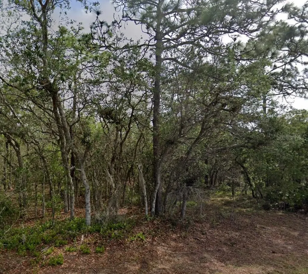10 Milbark Drive Homosassa FL 34446