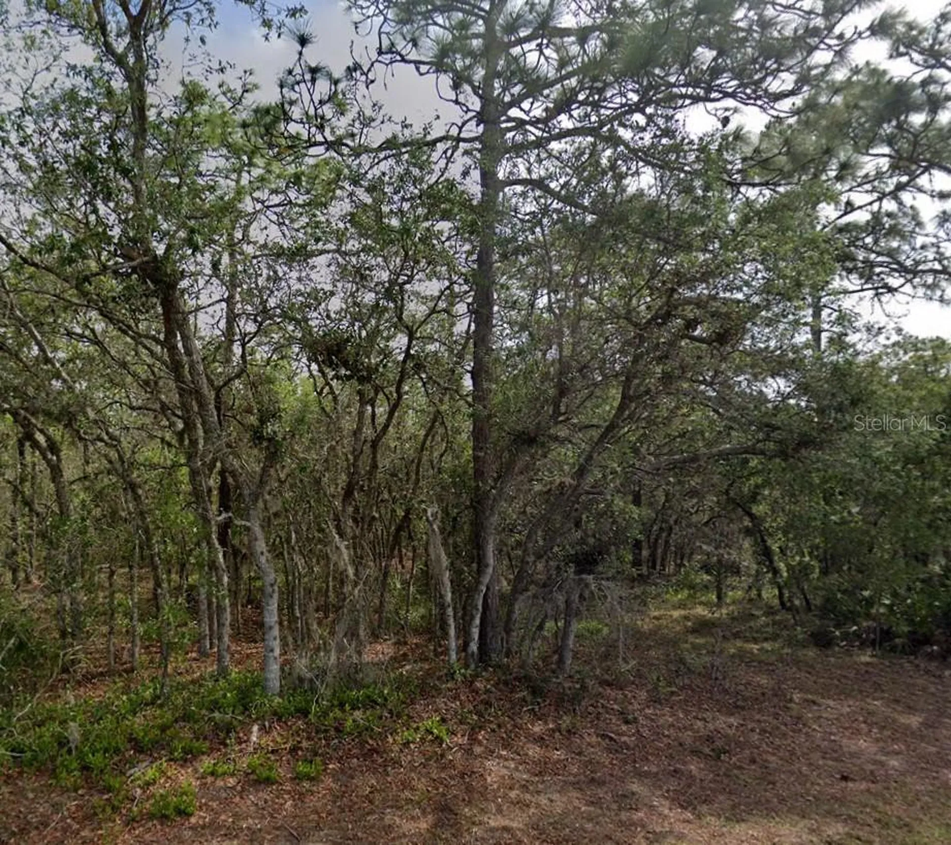 10 Milbark Drive Homosassa FL 34446