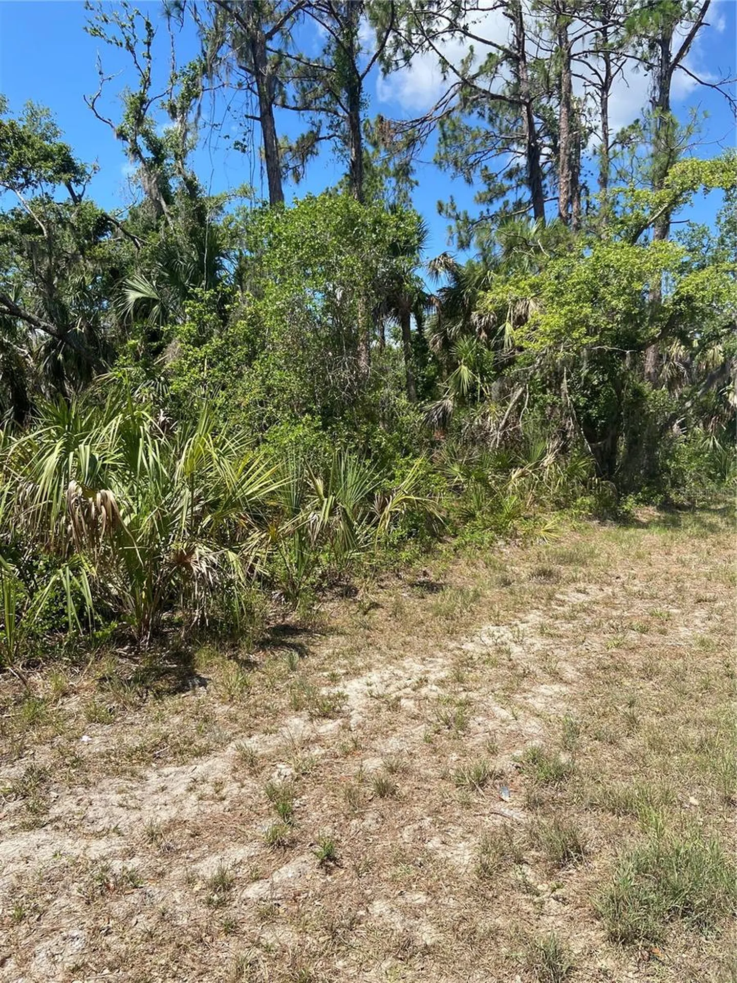 17123 Hemlock Avenue Port Charlotte FL 33948
