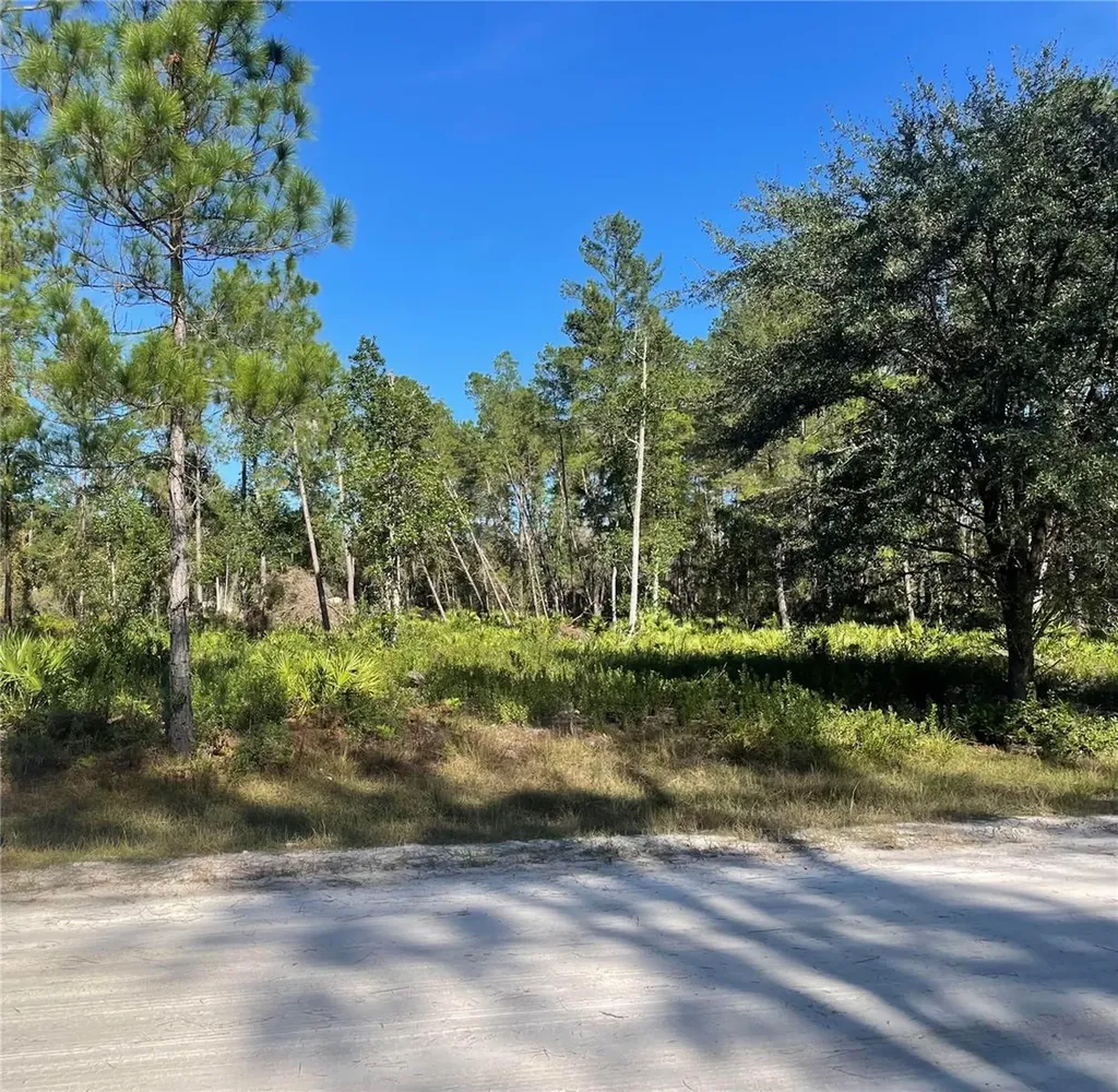 224 Plumosa Drive Georgetown FL 32139