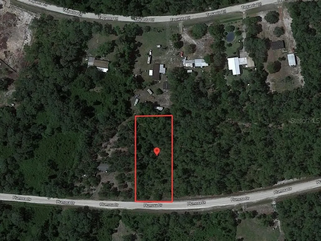 224 Plumosa Drive Georgetown FL 32139