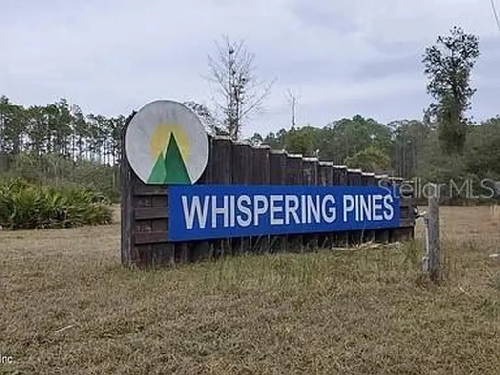 224 Plumosa Drive Georgetown FL 32139