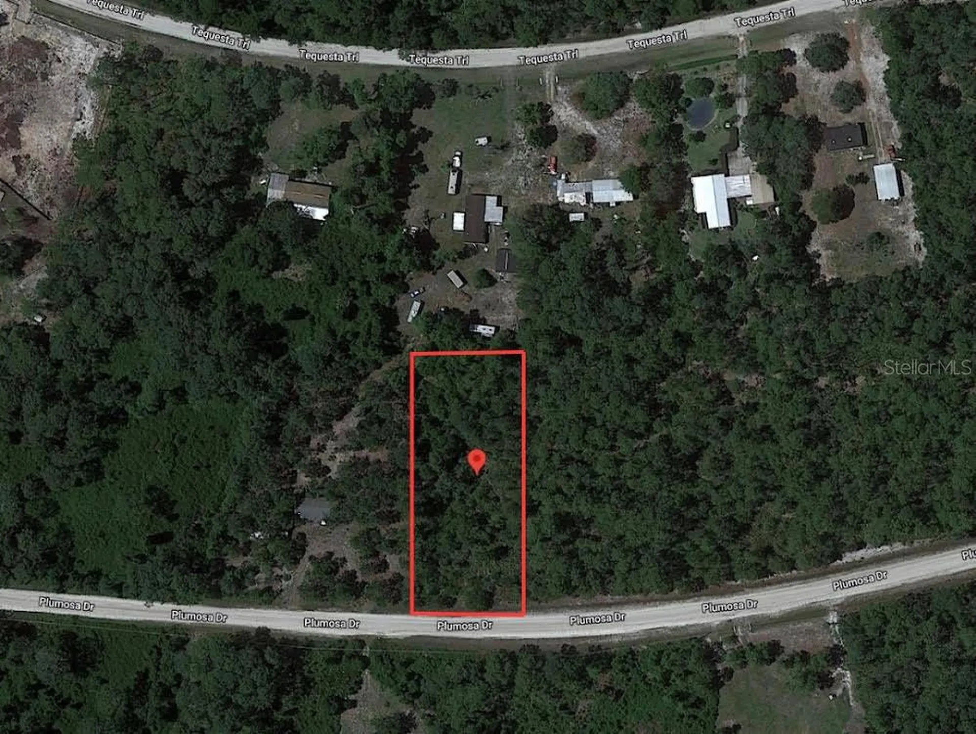 224 Plumosa Drive Georgetown FL 32139