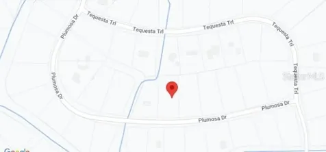 224 Plumosa Drive Georgetown FL 32139