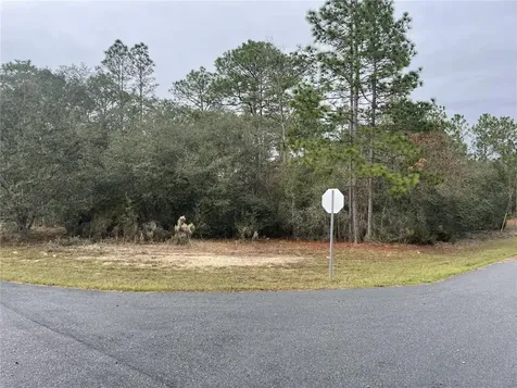 11290 N Kenney Loop Citrus Springs FL 34433