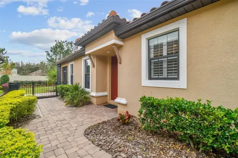 8429 Alberata Vista Drive Tampa FL 33647