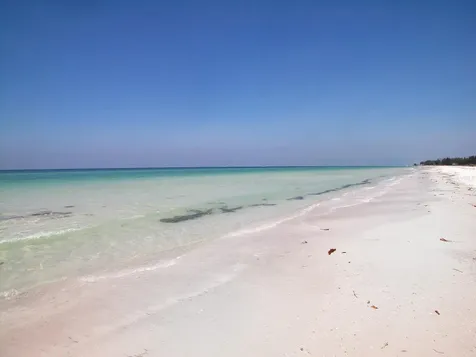 118 46th Street Holmes Beach FL 34217