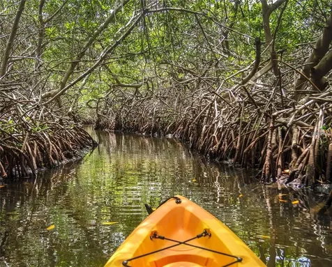 Sarasota FL 34236