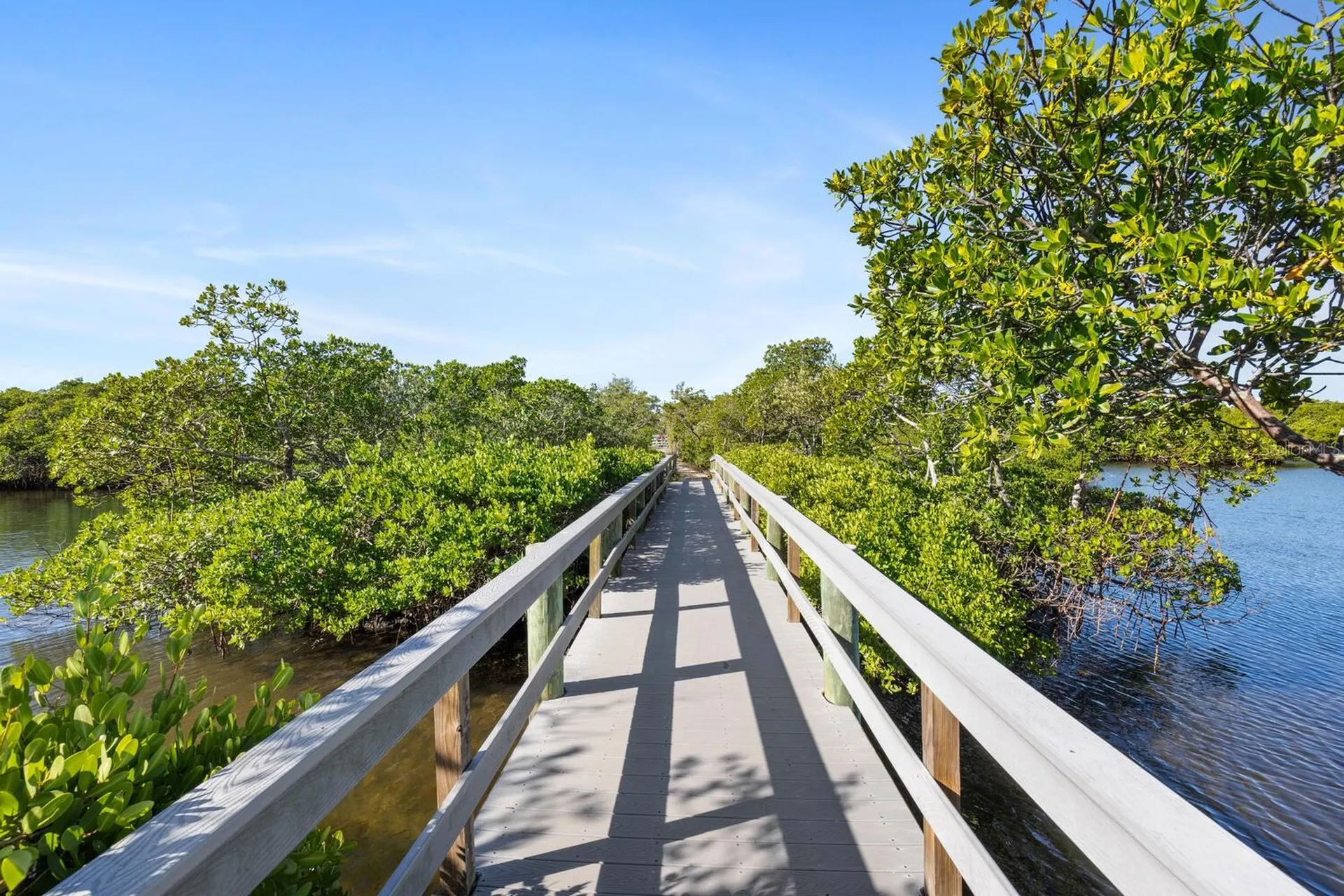 1654 Starling Drive Sarasota FL 34231