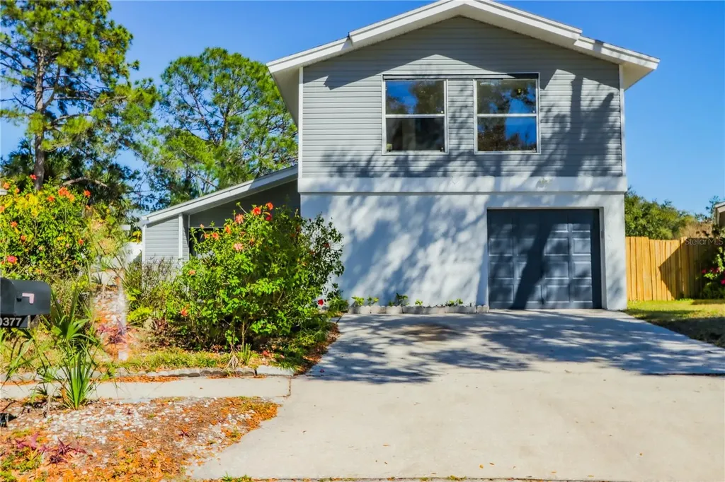 10377 Chadbourne Drive Tampa FL 33624