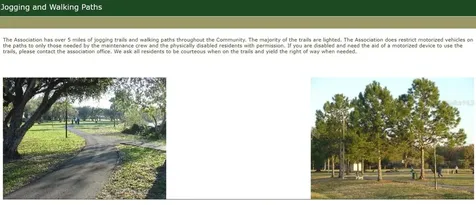 10377 Chadbourne Drive Tampa FL 33624