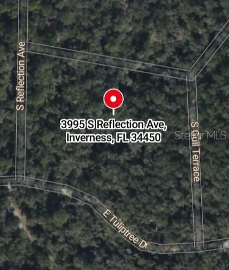 3995 S Reflection Avenue Inverness FL 34450