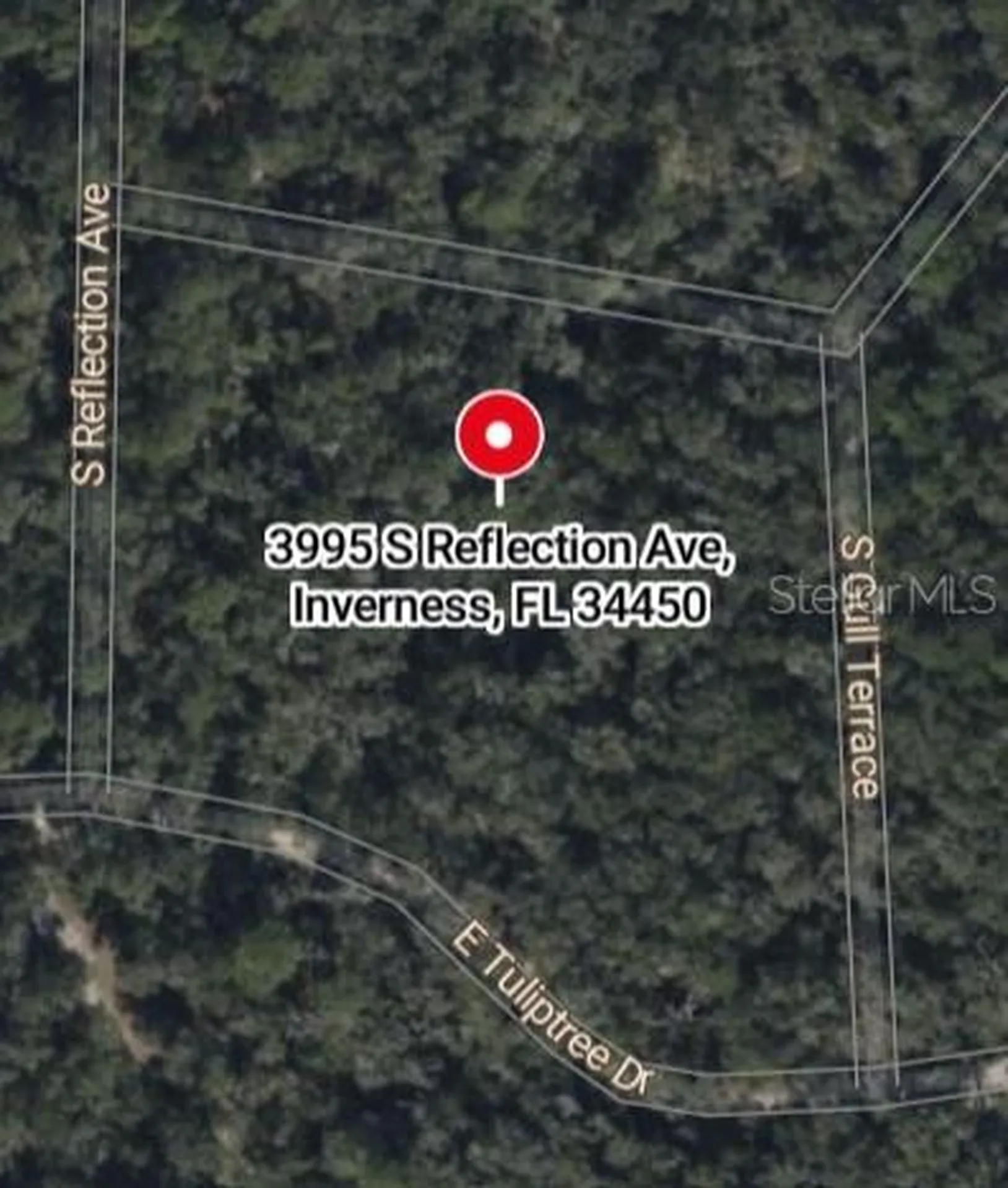 3995 S Reflection Avenue Inverness FL 34450