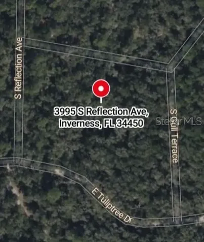 3995 S Reflection Avenue Inverness FL 34450