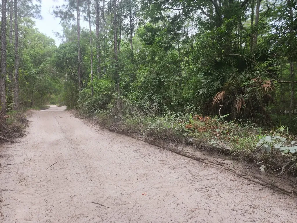 12TH Avenue Deland Deland FL 32724