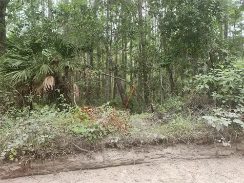 12TH Avenue Deland Deland FL 32724