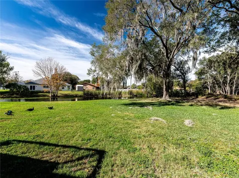 16667 Brigadoon Drive Tampa FL 33618