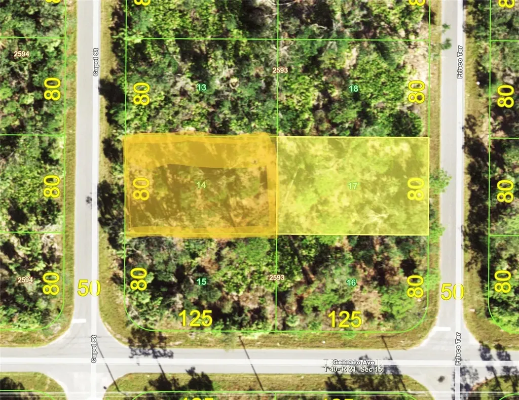1520 Capel Street & 1603 Frisco Terrace Port Charlotte FL 33953
