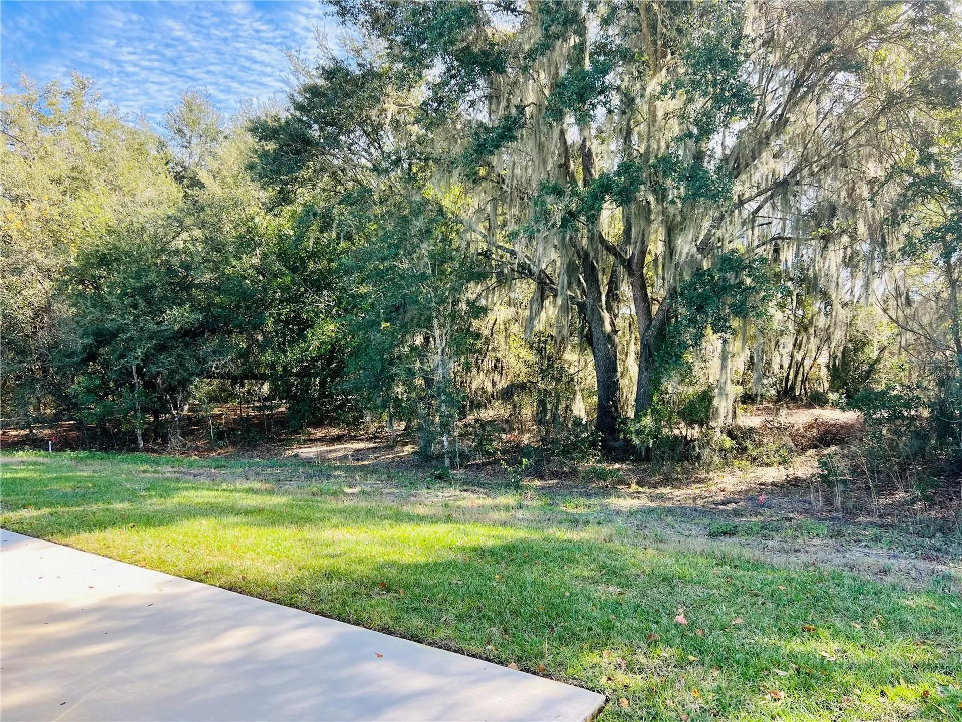 4903 SE 92nd Boulevard Terrace Webster FL 33597