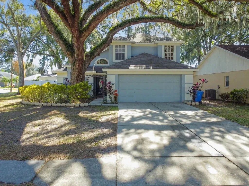 1409 Tiller Way Valrico FL 33594