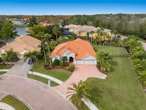10824 Barbados Isle Drive Tampa FL 33647