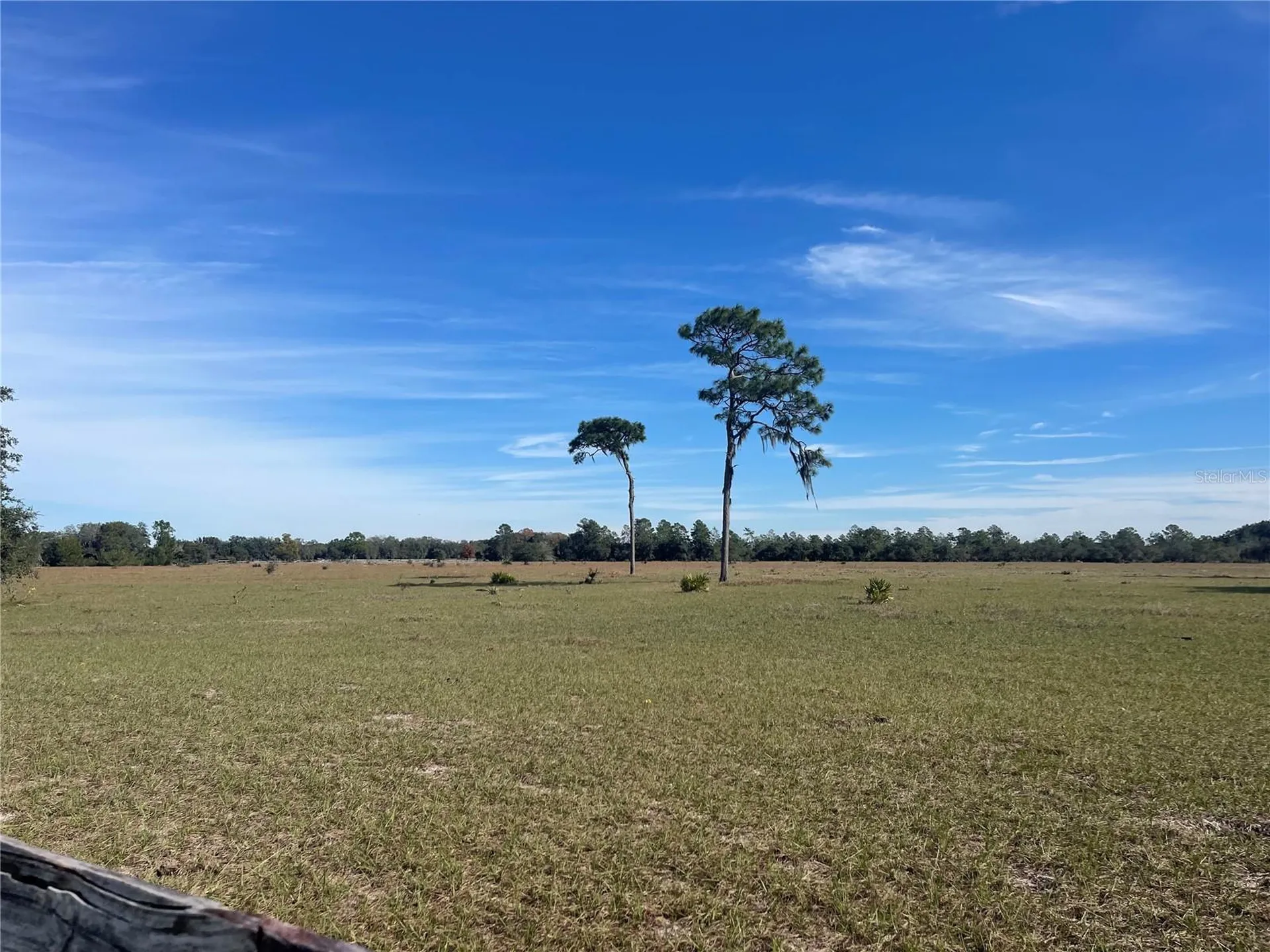 Fair Street Astatula FL 34705