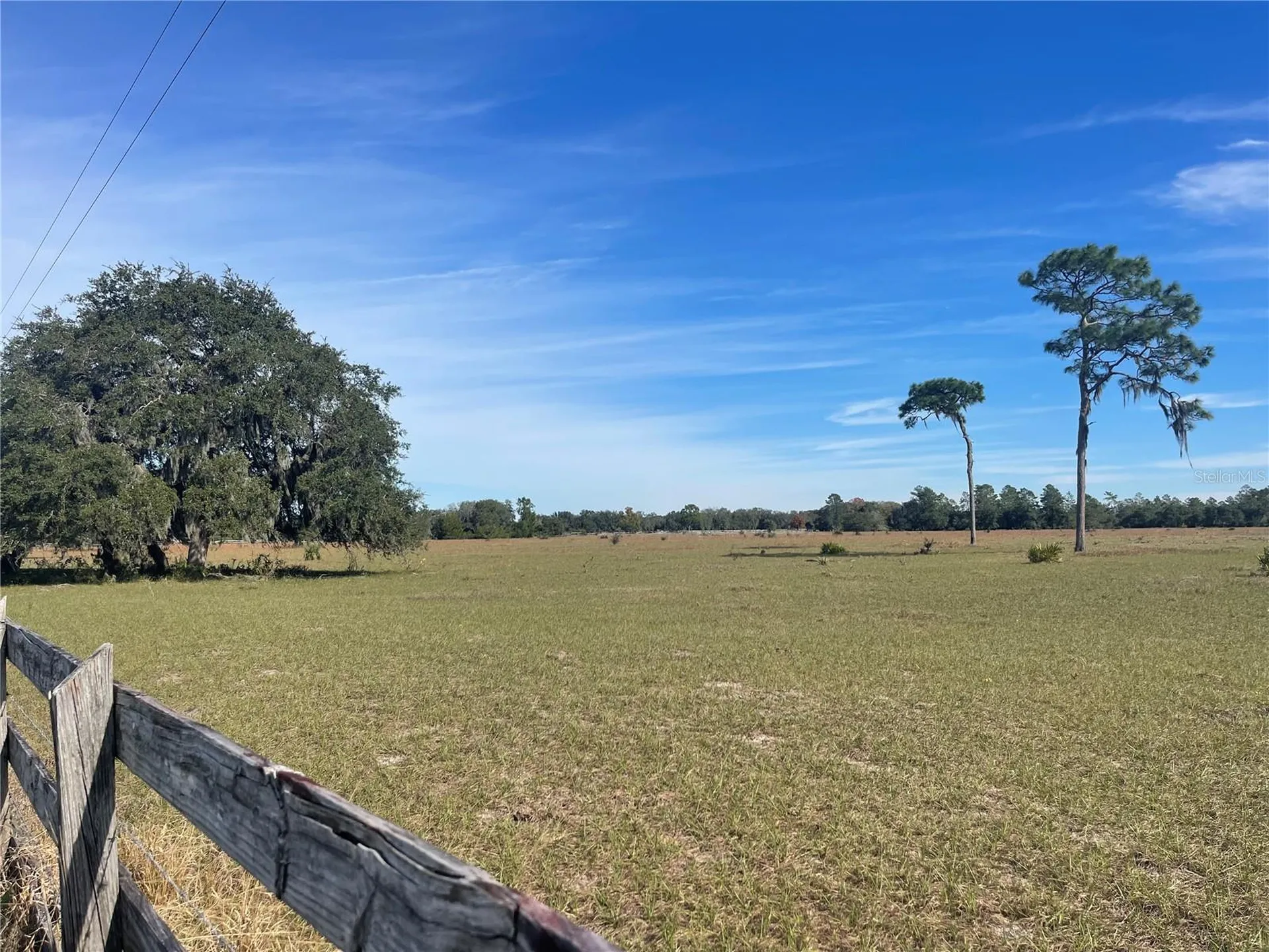 Fair Street Astatula FL 34705